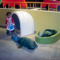 20120204-IMG_0219