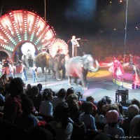 20120217-IMG_0232