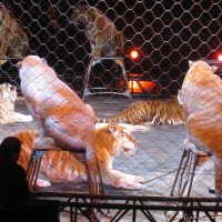 20120217-IMG_0245