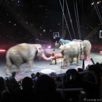 20120217-IMG_0247