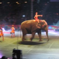 20120217-IMG_0248
