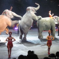 20120217-IMG_0249