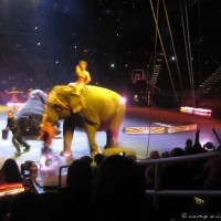 20120217-IMG_0251