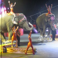 20120217-IMG_0253