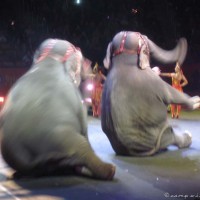 20120217-IMG_0254