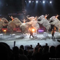 20120217-IMG_0257