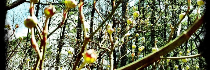 20120314-143626.jpg
