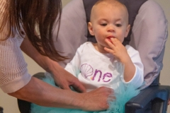 Lillian's First Birthday Party