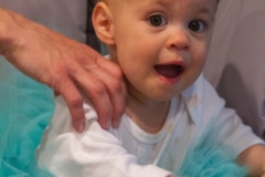 Lillian's First Birthday Party