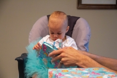 Lillian's First Birthday Party