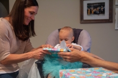 Lillian's First Birthday Party