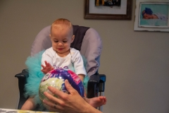 Lillian's First Birthday Party