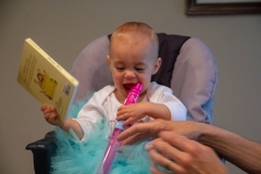 Lillian's First Birthday Party