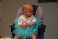 Lillian's First Birthday Party