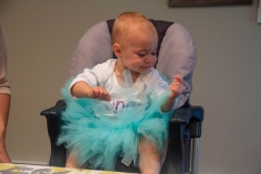 Lillian's First Birthday Party