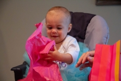 Lillian's First Birthday Party