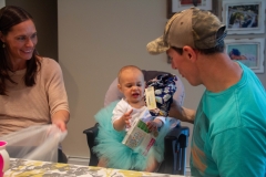 Lillian's First Birthday Party