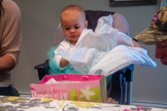 Lillian's First Birthday Party