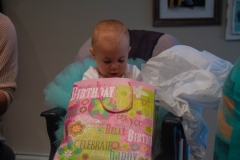 Lillian's First Birthday Party