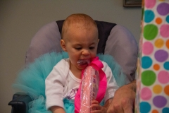 Lillian's First Birthday Party
