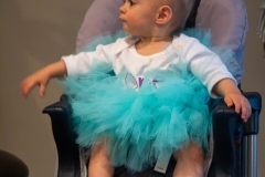 Lillian's First Birthday Party