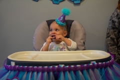Lillian's First Birthday Party
