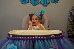 Lillian's First Birthday Party