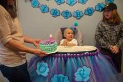 Lillian's First Birthday Party