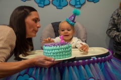 Lillian's First Birthday Party