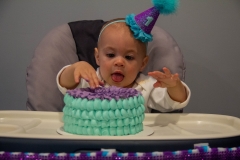 Lillian's First Birthday Party