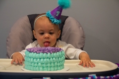 Lillian's First Birthday Party