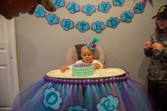 Lillian's First Birthday Party