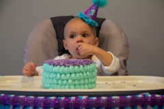 Lillian's First Birthday Party