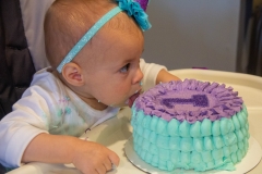 Lillian's First Birthday Party