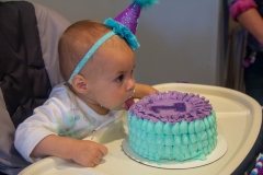 Lillian's First Birthday Party
