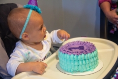 Lillian's First Birthday Party