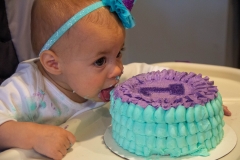 Lillian's First Birthday Party