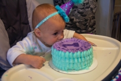 Lillian's First Birthday Party