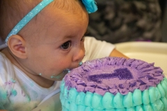 Lillian's First Birthday Party