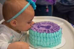 Lillian's First Birthday Party
