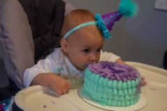 Lillian's First Birthday Party