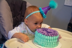 Lillian's First Birthday Party