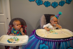 Lillian's First Birthday Party