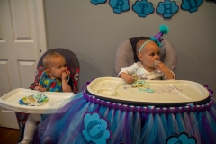 Lillian's First Birthday Party