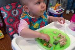 Lillian's First Birthday Party