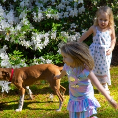 Egg Hunt at Rita's