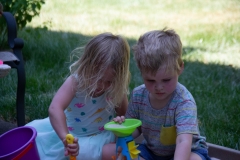 Cousins