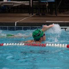 Swim Meet at Falcon Woods