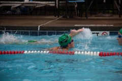 Swim Meet at Falcon Woods