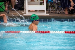 Swim Meet at Falcon Woods